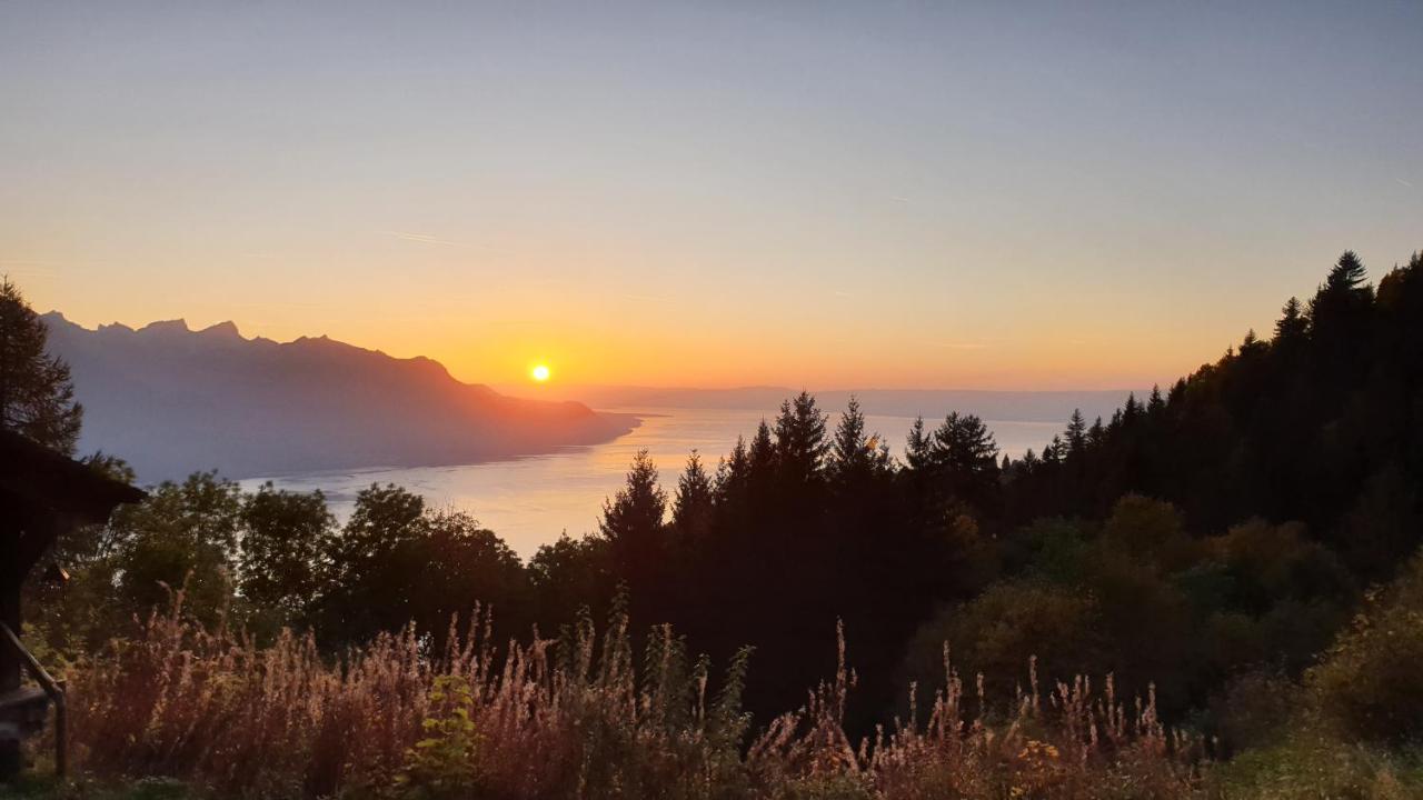 Bnb Belalp Montreux Exteriör bild